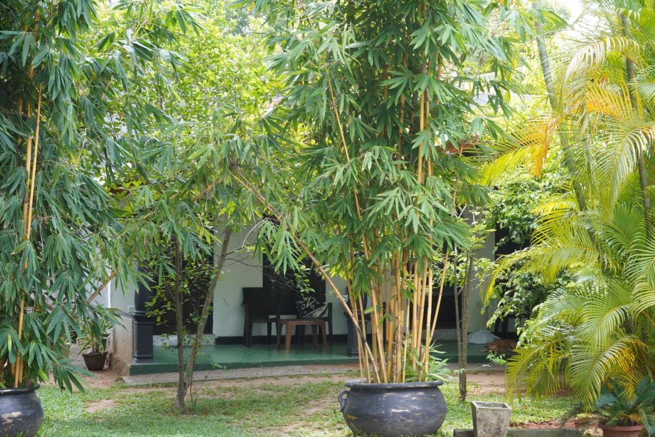 Sandra Guesthouse 담불라 외부 사진